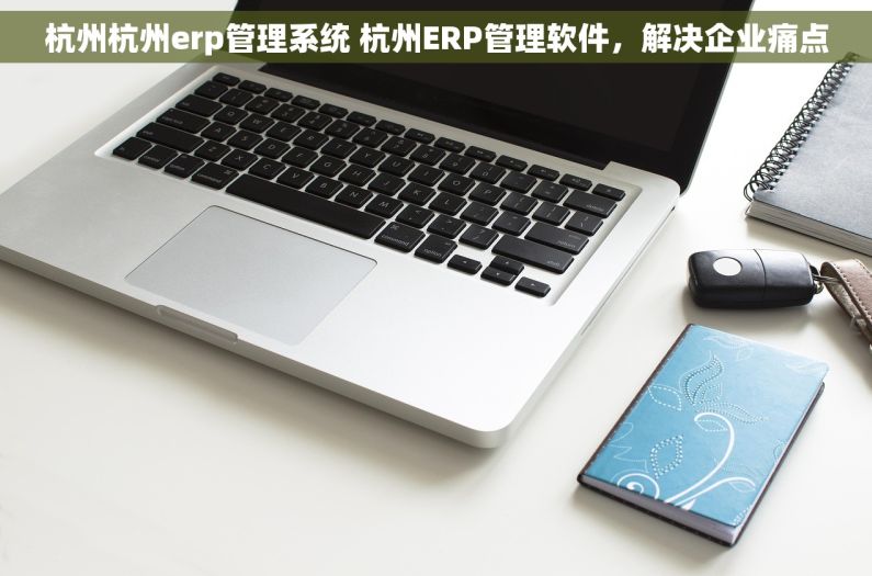 杭州杭州erp管理系统 杭州ERP管理软件，解决企业痛点