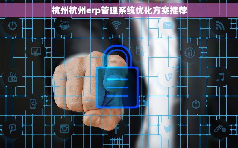 杭州杭州erp管理系统优化方案推荐