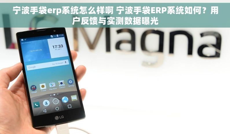 宁波手袋erp系统怎么样啊 宁波手袋ERP系统如何？用户反馈与实测数据曝光