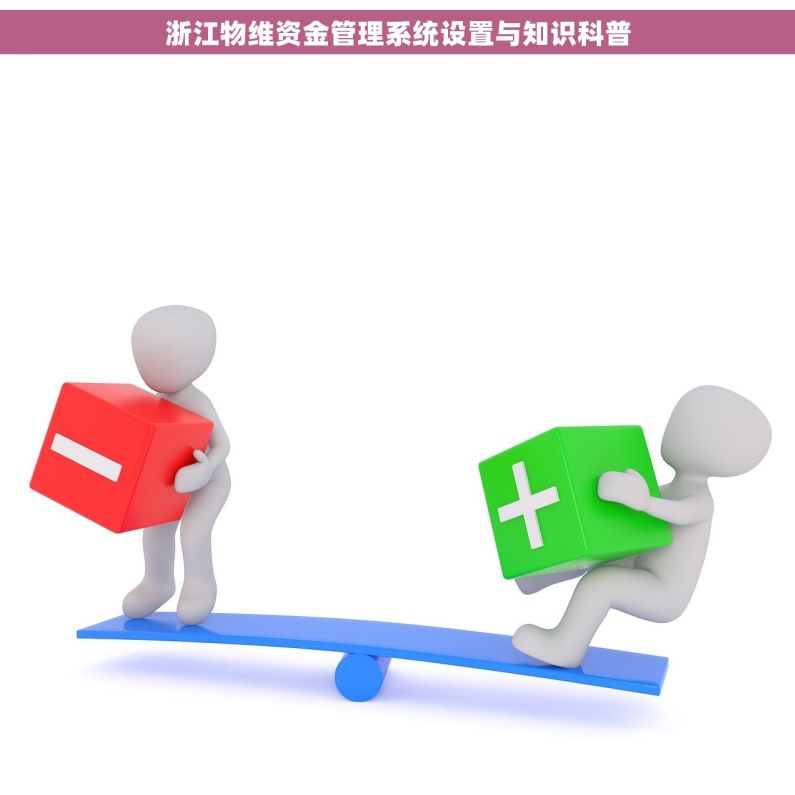 浙江物维资金管理系统设置与知识科普