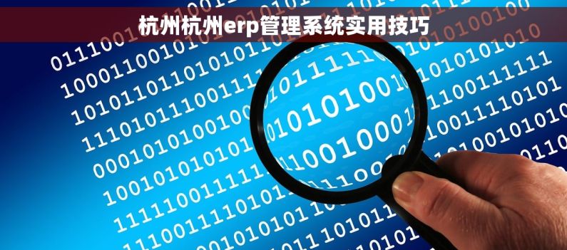 杭州杭州erp管理系统实用技巧