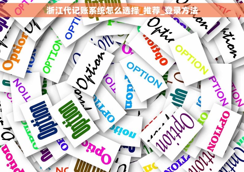 浙江代记账系统怎么选择_推荐_登录方法