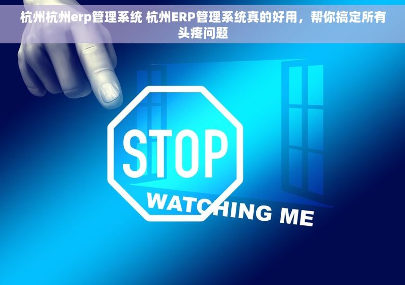 杭州杭州erp管理系统 杭州ERP管理系统真的好用，帮你搞定所有头疼问题