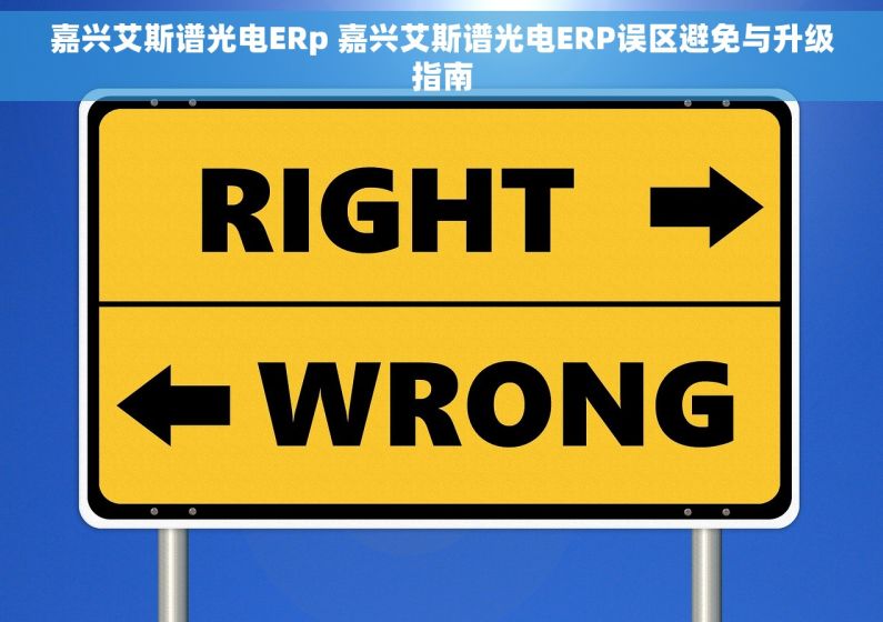 嘉兴艾斯谱光电ERp 嘉兴艾斯谱光电ERP误区避免与升级指南