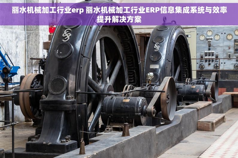 丽水机械加工行业erp 丽水机械加工行业ERP信息集成系统与效率提升解决方案
