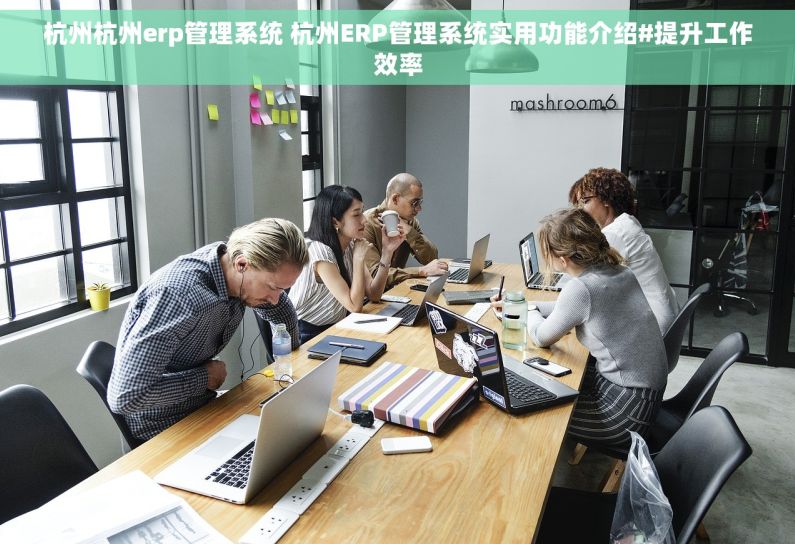 杭州杭州erp管理系统 杭州ERP管理系统实用功能介绍#提升工作效率
