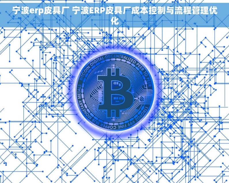 宁波erp皮具厂 宁波ERP皮具厂成本控制与流程管理优化