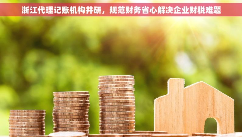 浙江代理记账机构井研，规范财务省心解决企业财税难题