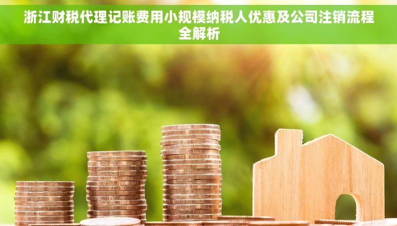 浙江财税代理记账费用小规模纳税人优惠及公司注销流程全解析