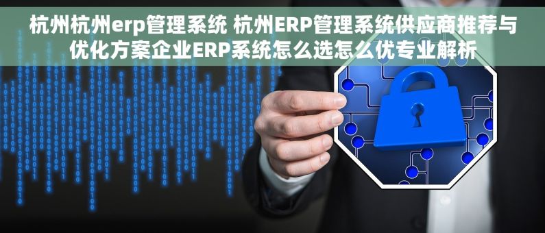 杭州杭州erp管理系统 杭州ERP管理系统供应商推荐与优化方案企业ERP系统怎么选怎么优专业解析