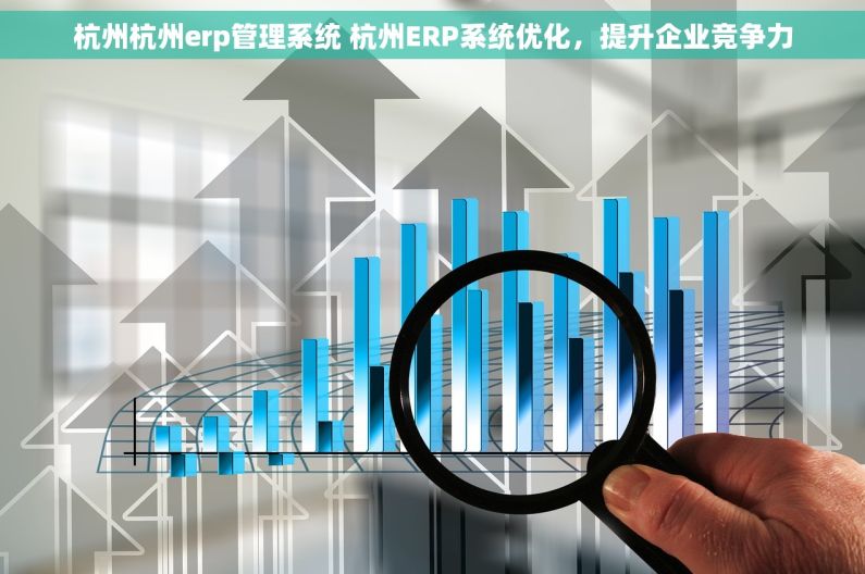 杭州杭州erp管理系统 杭州ERP系统优化，提升企业竞争力