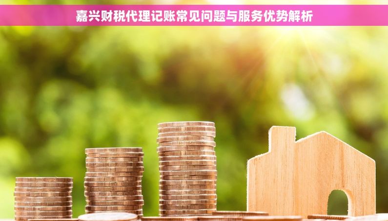 嘉兴财税代理记账常见问题与服务优势解析
