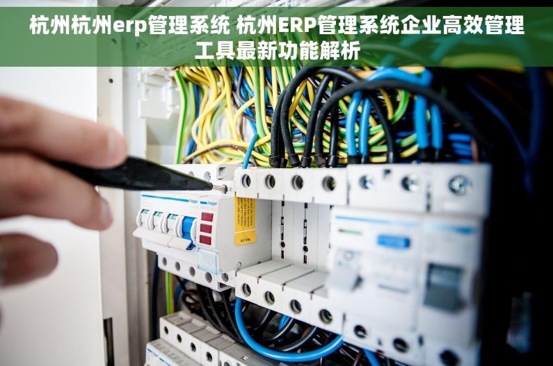 杭州杭州erp管理系统 杭州ERP管理系统企业高效管理工具最新功能解析