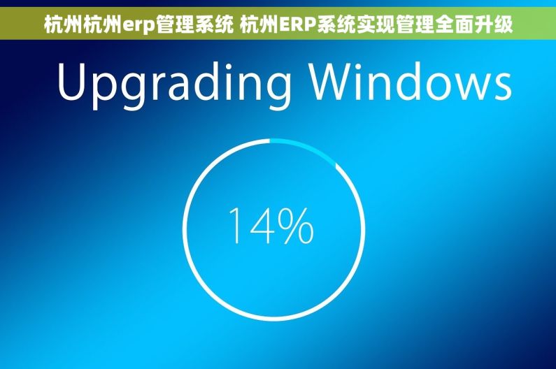 杭州杭州erp管理系统 杭州ERP系统实现管理全面升级