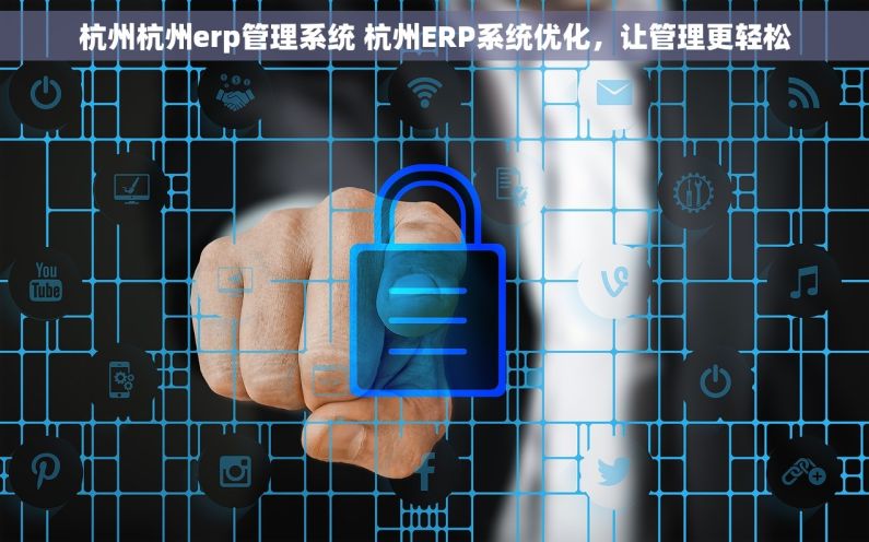 杭州杭州erp管理系统 杭州ERP系统优化，让管理更轻松