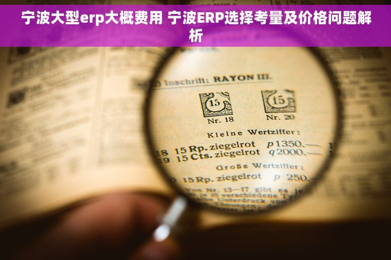 宁波大型erp大概费用 宁波ERP选择考量及价格问题解析