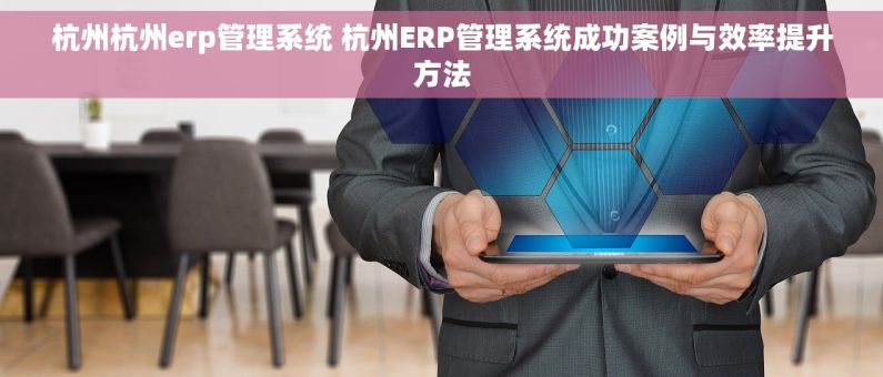 杭州杭州erp管理系统 杭州ERP管理系统成功案例与效率提升方法