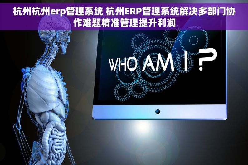 杭州杭州erp管理系统 杭州ERP管理系统解决多部门协作难题精准管理提升利润