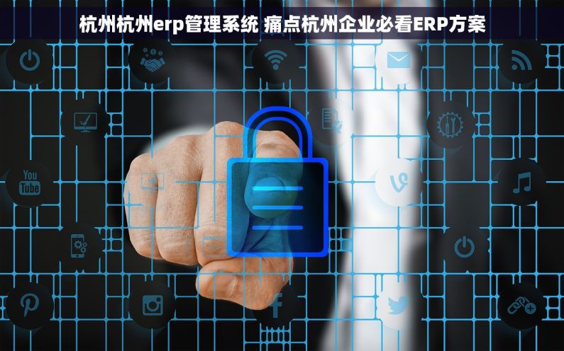 杭州杭州erp管理系统 痛点杭州企业必看ERP方案