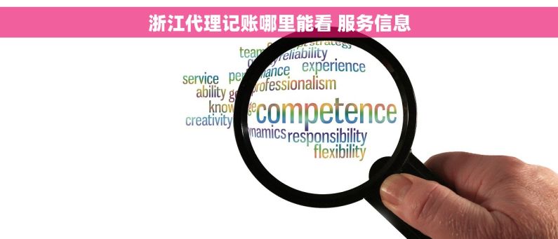 浙江代理记账哪里能看 服务信息