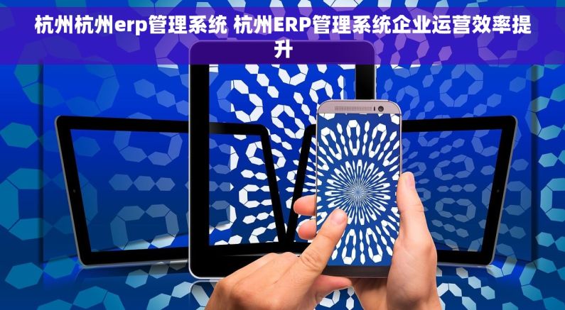杭州杭州erp管理系统 杭州ERP管理系统企业运营效率提升