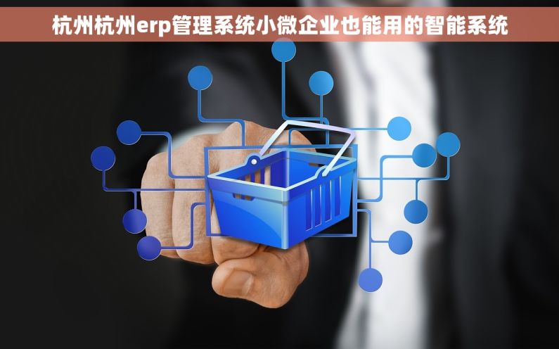 杭州杭州erp管理系统小微企业也能用的智能系统