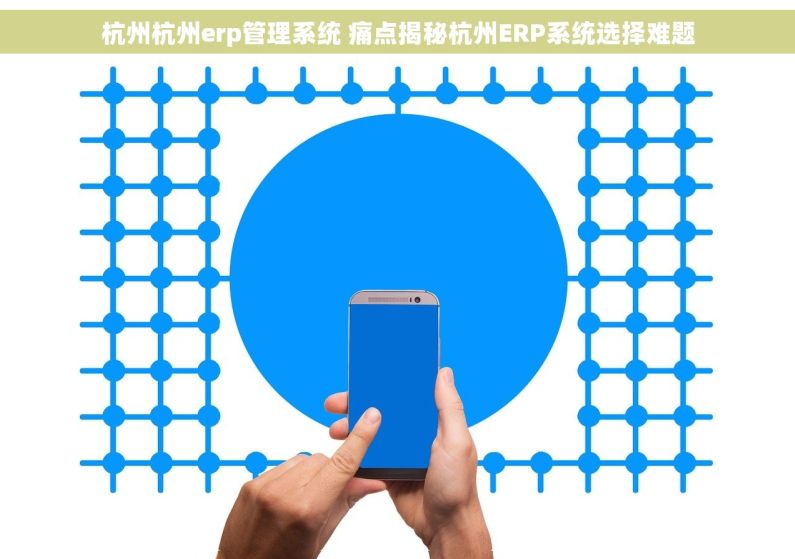 杭州杭州erp管理系统 痛点揭秘杭州ERP系统选择难题