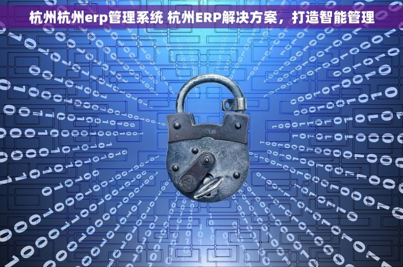 杭州杭州erp管理系统 杭州ERP解决方案，打造智能管理