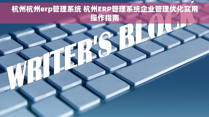 杭州杭州erp管理系统 杭州ERP管理系统企业管理优化实用操作指南