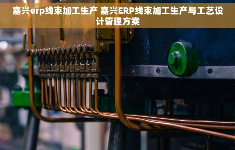 嘉兴erp线束加工生产 嘉兴ERP线束加工生产与工艺设计管理方案