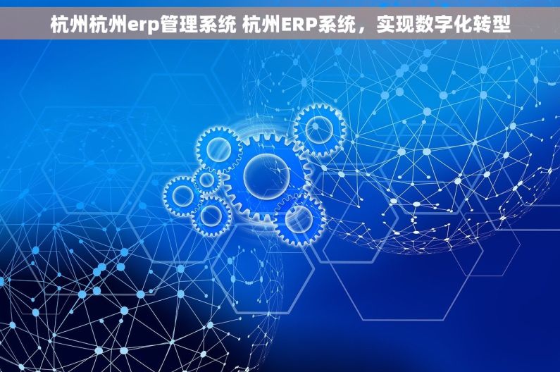 杭州杭州erp管理系统 杭州ERP系统，实现数字化转型