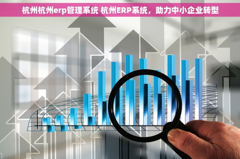 杭州杭州erp管理系统 杭州ERP系统，助力中小企业转型