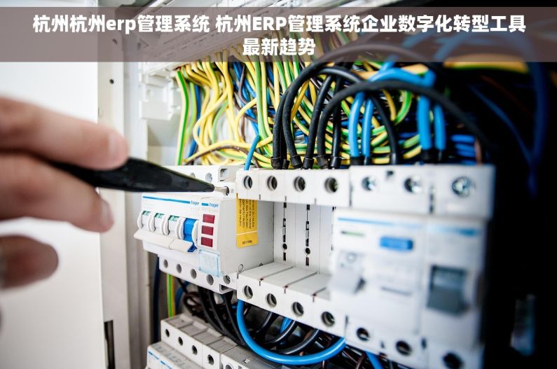 杭州杭州erp管理系统 杭州ERP管理系统企业数字化转型工具最新趋势
