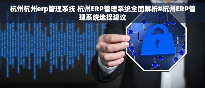 杭州杭州erp管理系统 杭州ERP管理系统全面解析#杭州ERP管理系统选择建议