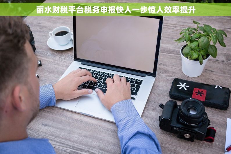 丽水财税平台税务申报快人一步惊人效率提升