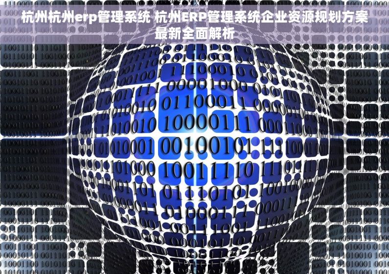 杭州杭州erp管理系统 杭州ERP管理系统企业资源规划方案最新全面解析
