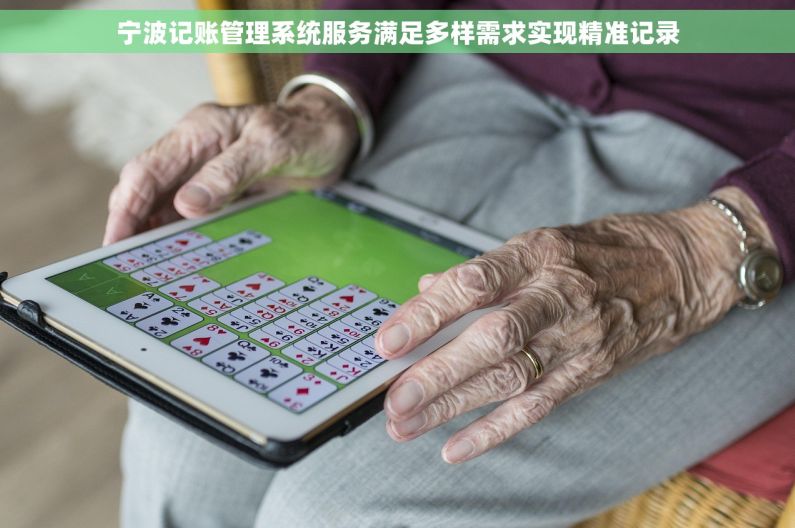 宁波记账管理系统服务满足多样需求实现精准记录