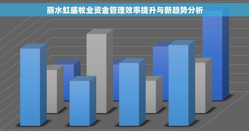 丽水虹盛牧业资金管理效率提升与新趋势分析
