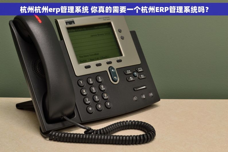 杭州杭州erp管理系统 你真的需要一个杭州ERP管理系统吗？