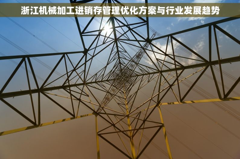 浙江机械加工进销存管理优化方案与行业发展趋势