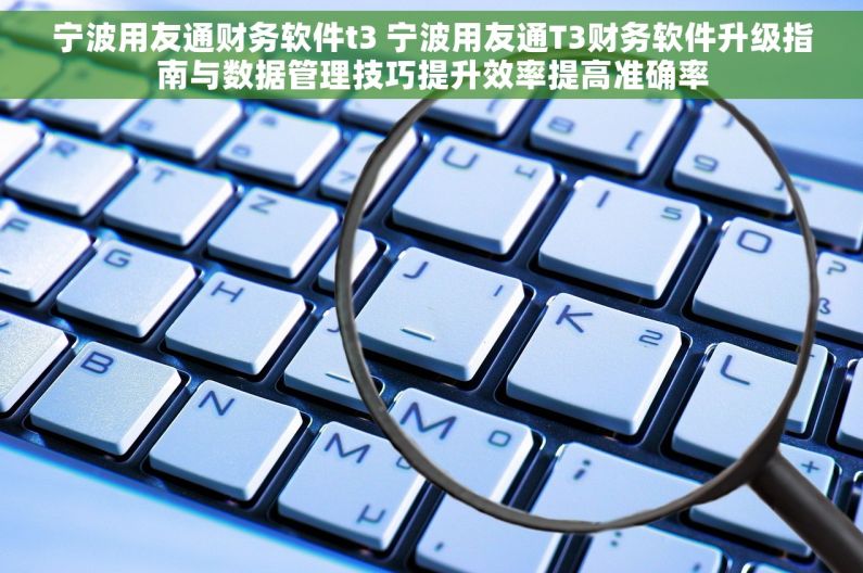 宁波用友通财务软件t3 宁波用友通T3财务软件升级指南与数据管理技巧提升效率提高准确率