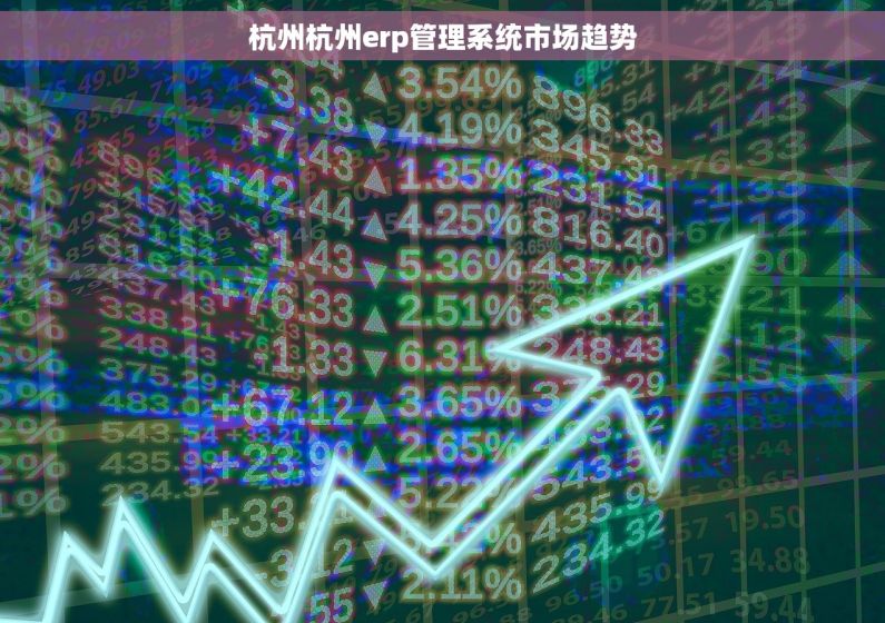 杭州杭州erp管理系统市场趋势