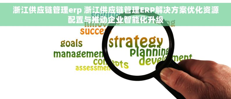浙江供应链管理erp 浙江供应链管理ERP解决方案优化资源配置与推动企业智能化升级