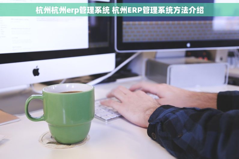 杭州杭州erp管理系统 杭州ERP管理系统方法介绍