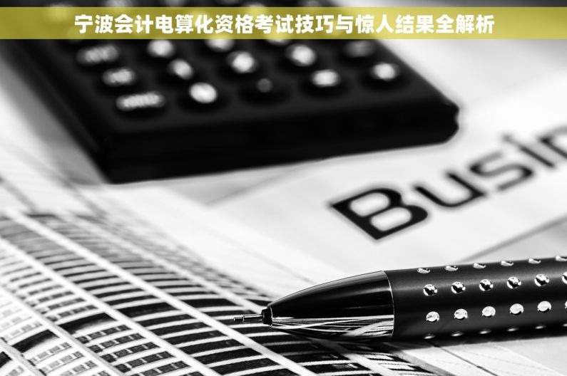 宁波会计电算化资格考试技巧与惊人结果全解析