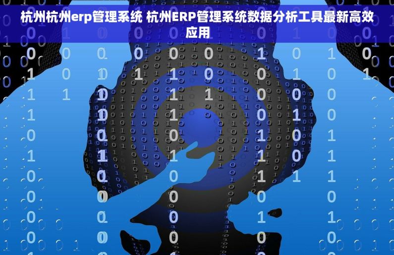 杭州杭州erp管理系统 杭州ERP管理系统数据分析工具最新高效应用