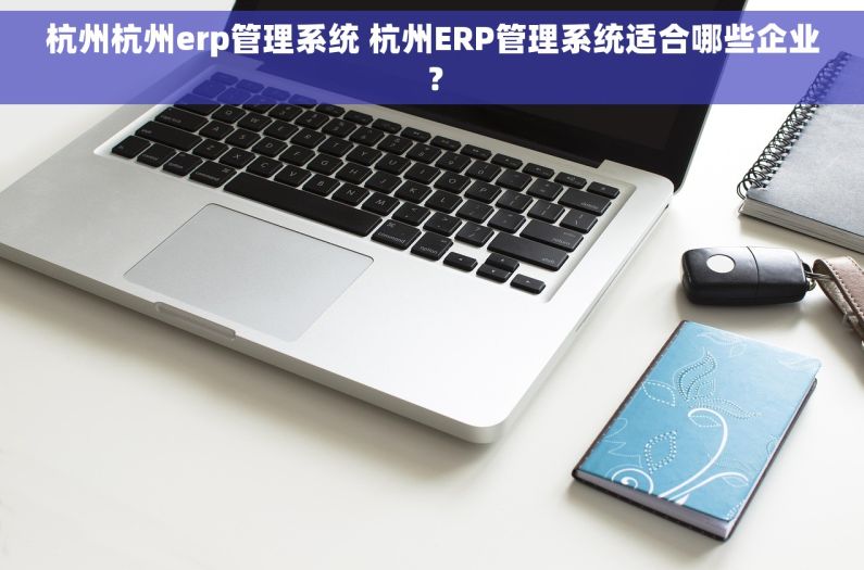 杭州杭州erp管理系统 杭州ERP管理系统适合哪些企业？