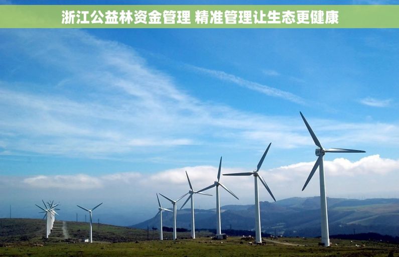 浙江公益林资金管理 精准管理让生态更健康