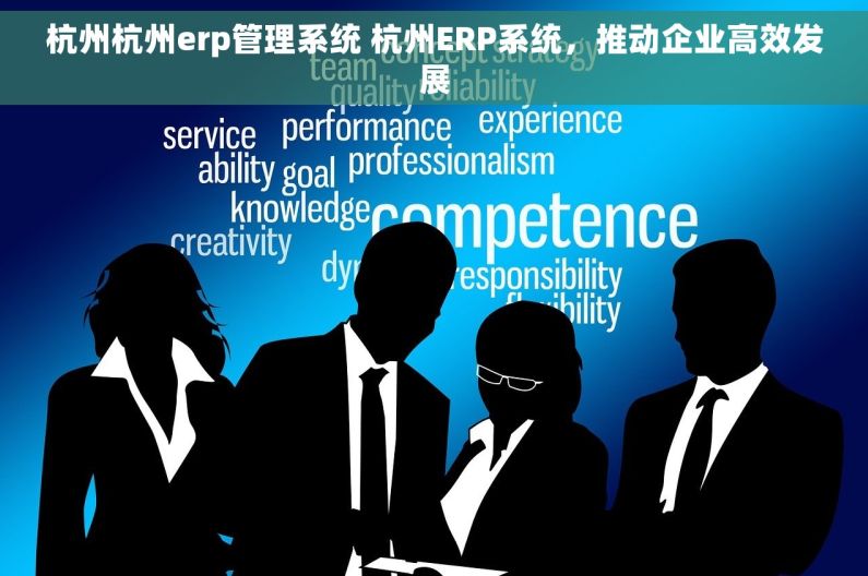 杭州杭州erp管理系统 杭州ERP系统，推动企业高效发展