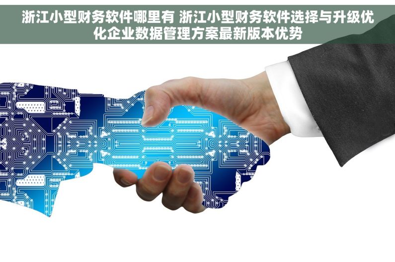 浙江小型财务软件哪里有 浙江小型财务软件选择与升级优化企业数据管理方案最新版本优势